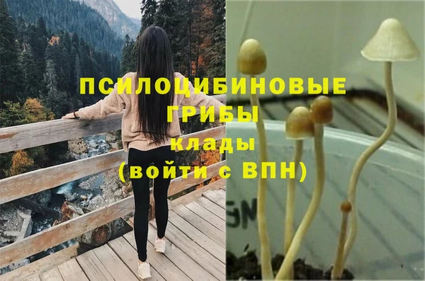 твердый Пересвет