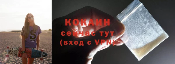 твердый Пересвет
