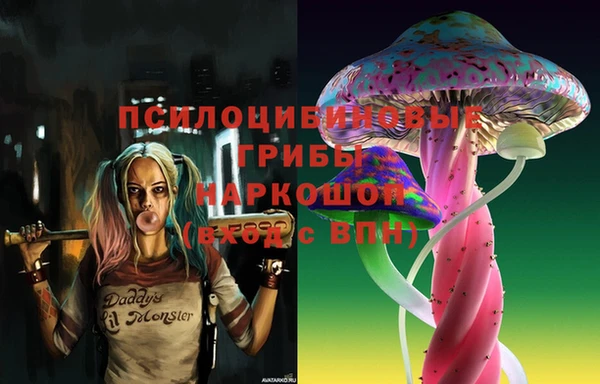 марки nbome Беломорск