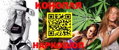 гашик Берёзовский