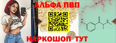 гашик Берёзовский