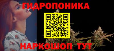 прущие крисы Аргун