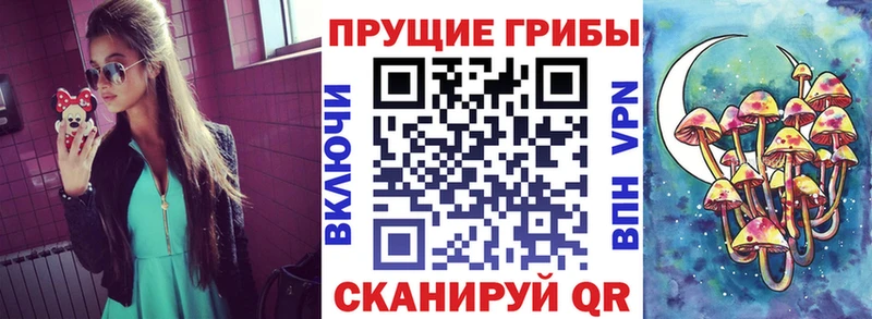 Галлюциногенные грибы прущие грибы  Верхняя Салда 