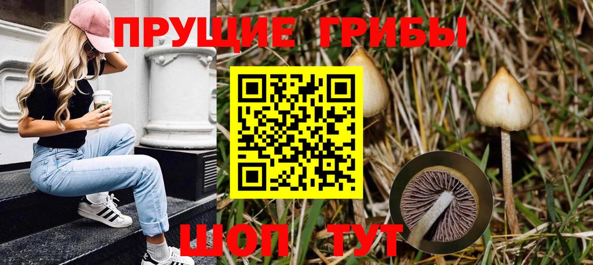 Галлюциногенные грибы мухоморы Верхняя Салда