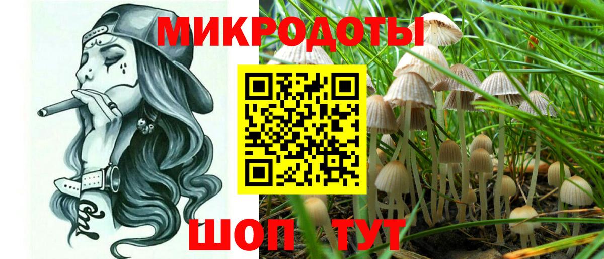 Псилоцибиновые грибы Cubensis Верхняя Салда